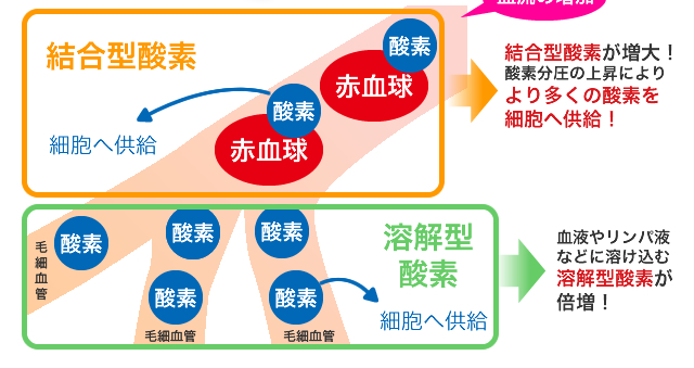 結合型酸素と溶解型酸素について