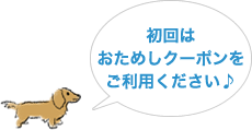 初回はおためしクーポンをご利用ください